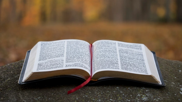 bible page on gray concrete surface